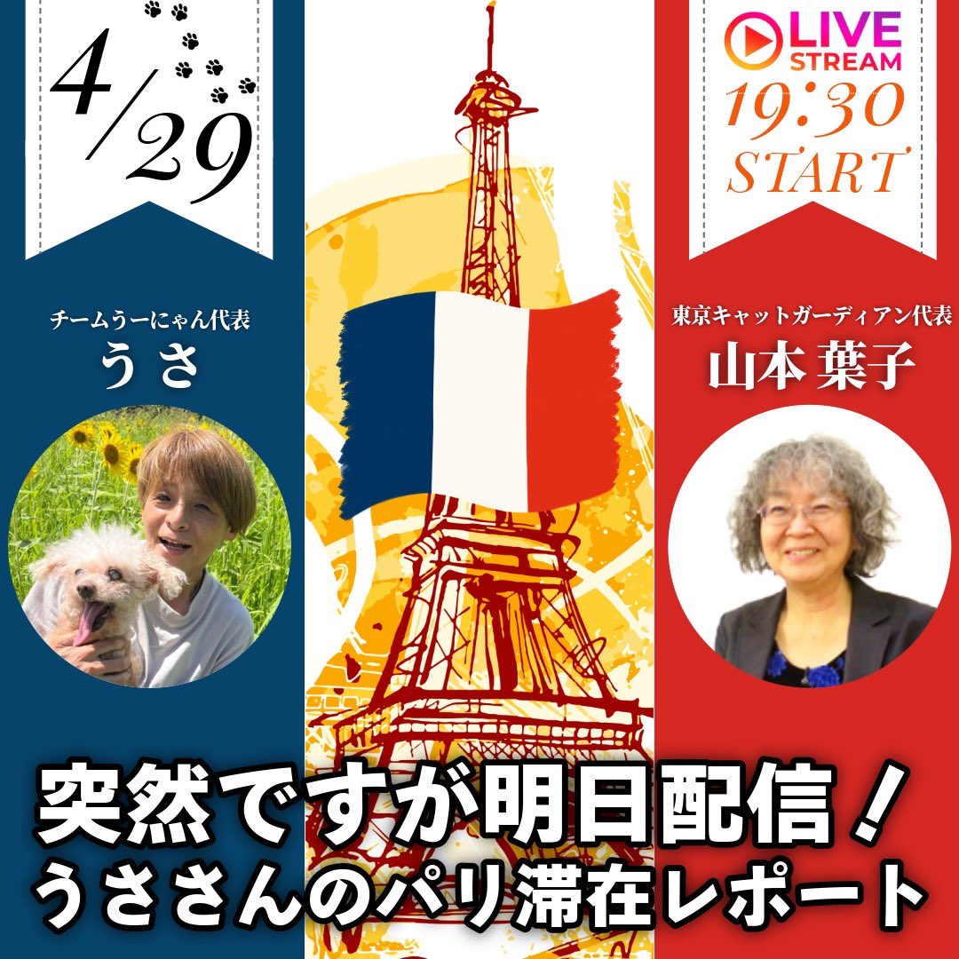 うさ-Usa- tweet media