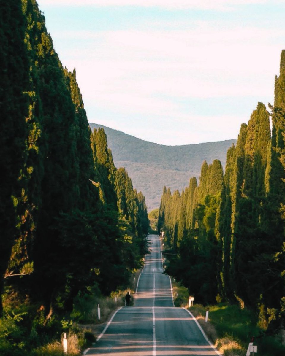 Tuscany_Bike_R's tweet image. Bikepacking Europe for the Eroica? Gravel cycling on strade bianche, vintage steel, Chianti at the stops. A bikepacking trip worth planning: tuscanybikeroute.com/eroica/
#BikepackingEurope #Bikepacking #TuscanyBikeRoute #Eroica #GravelCycling #BikepackingTrip #CyclingInTuscany