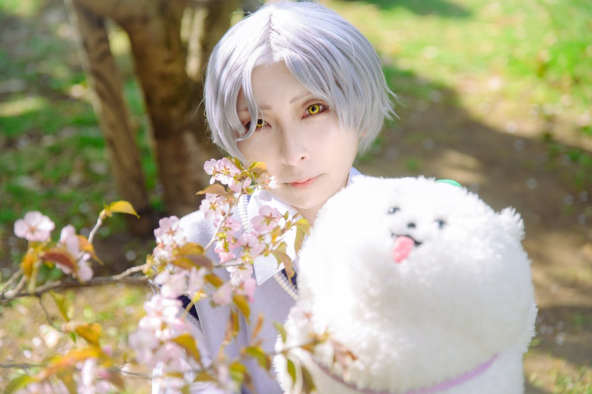 あずさん😼next紅コス🐱新規予定❌ tweet media