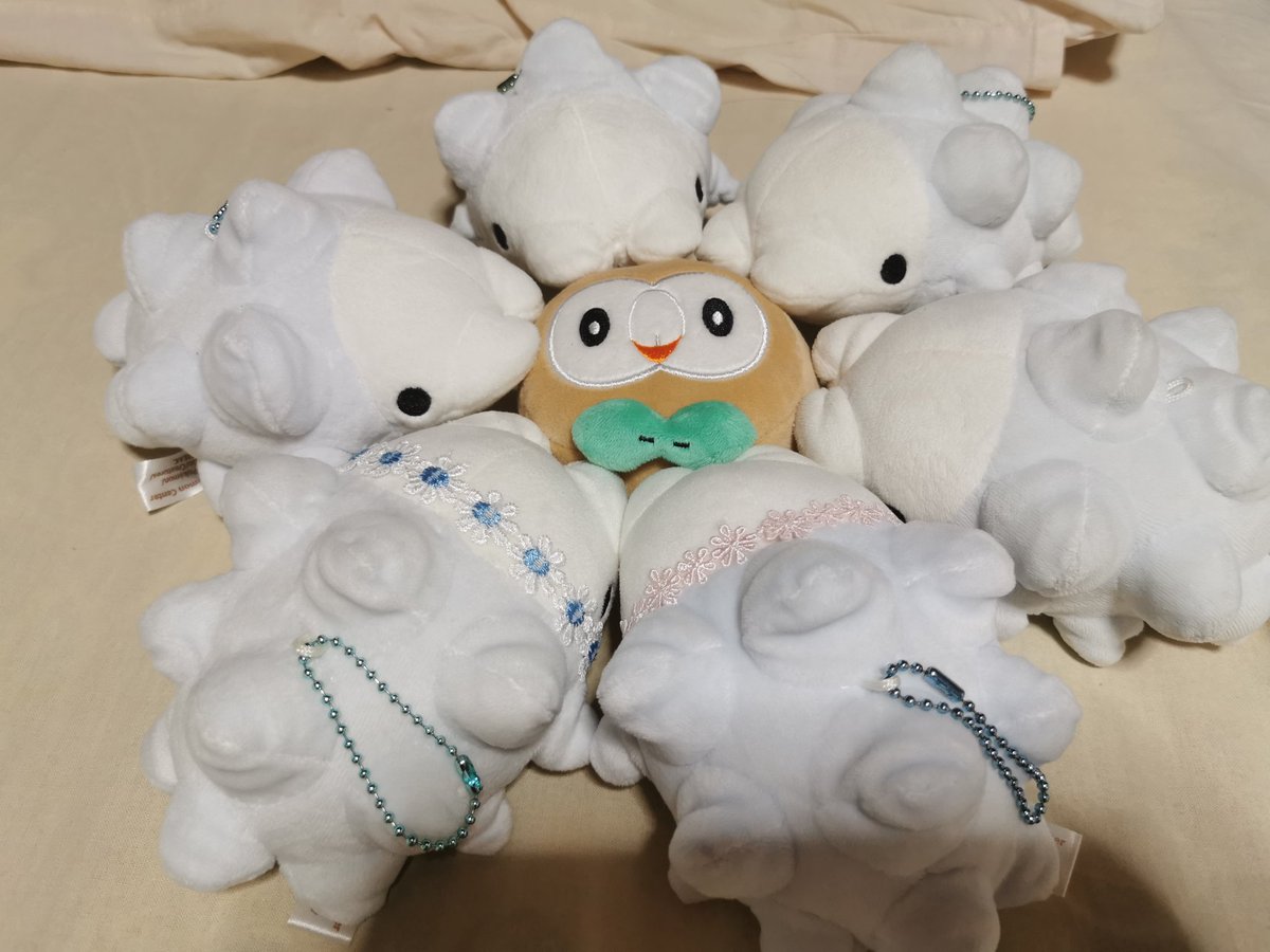 (˙꒳˙ )