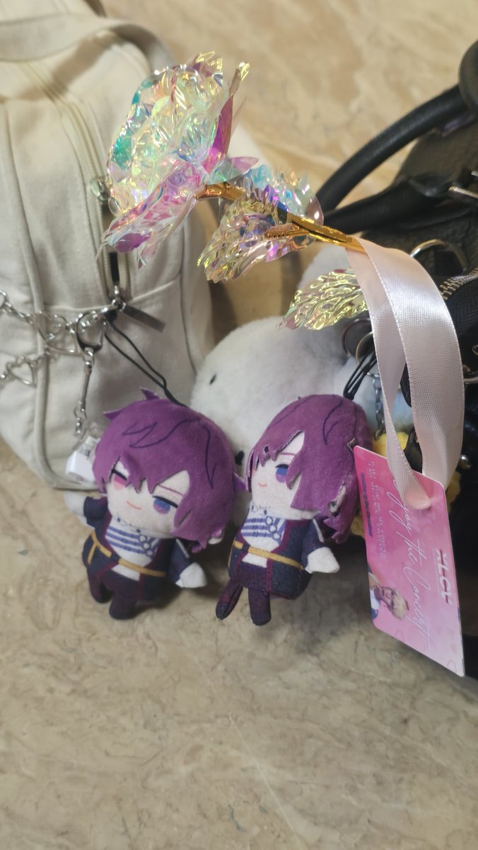 took mama to the xlov concert last saturday and saw a fellow stargazer there too

#ukivioleta