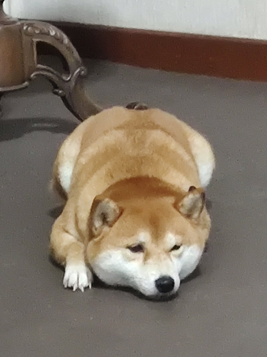 ToeyMerry tweet media