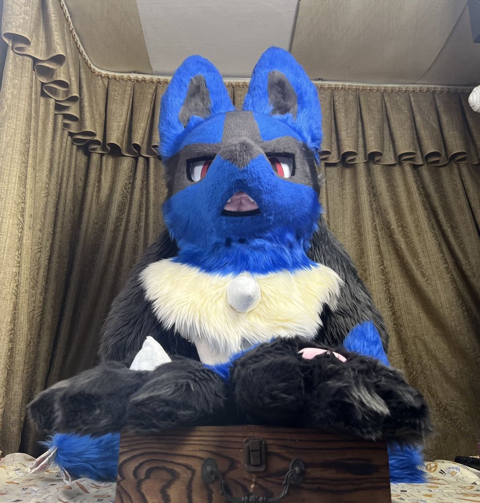 橘狼朗 tweet media