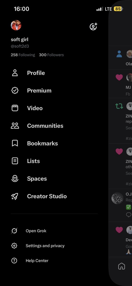 soft girl tweet media