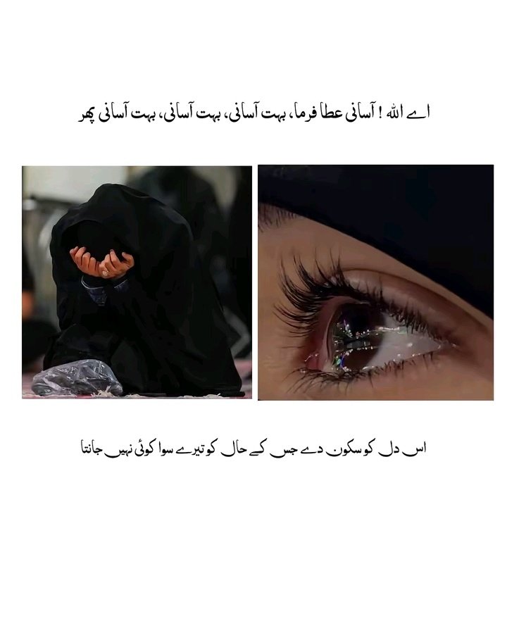 Rabia iftikhar tweet media