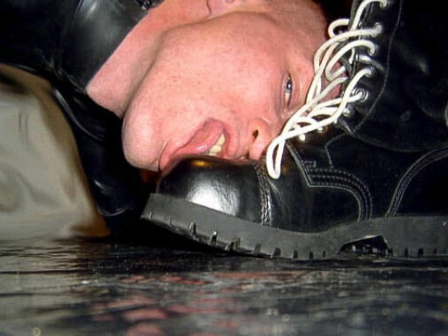 Pig Rob tweet media
