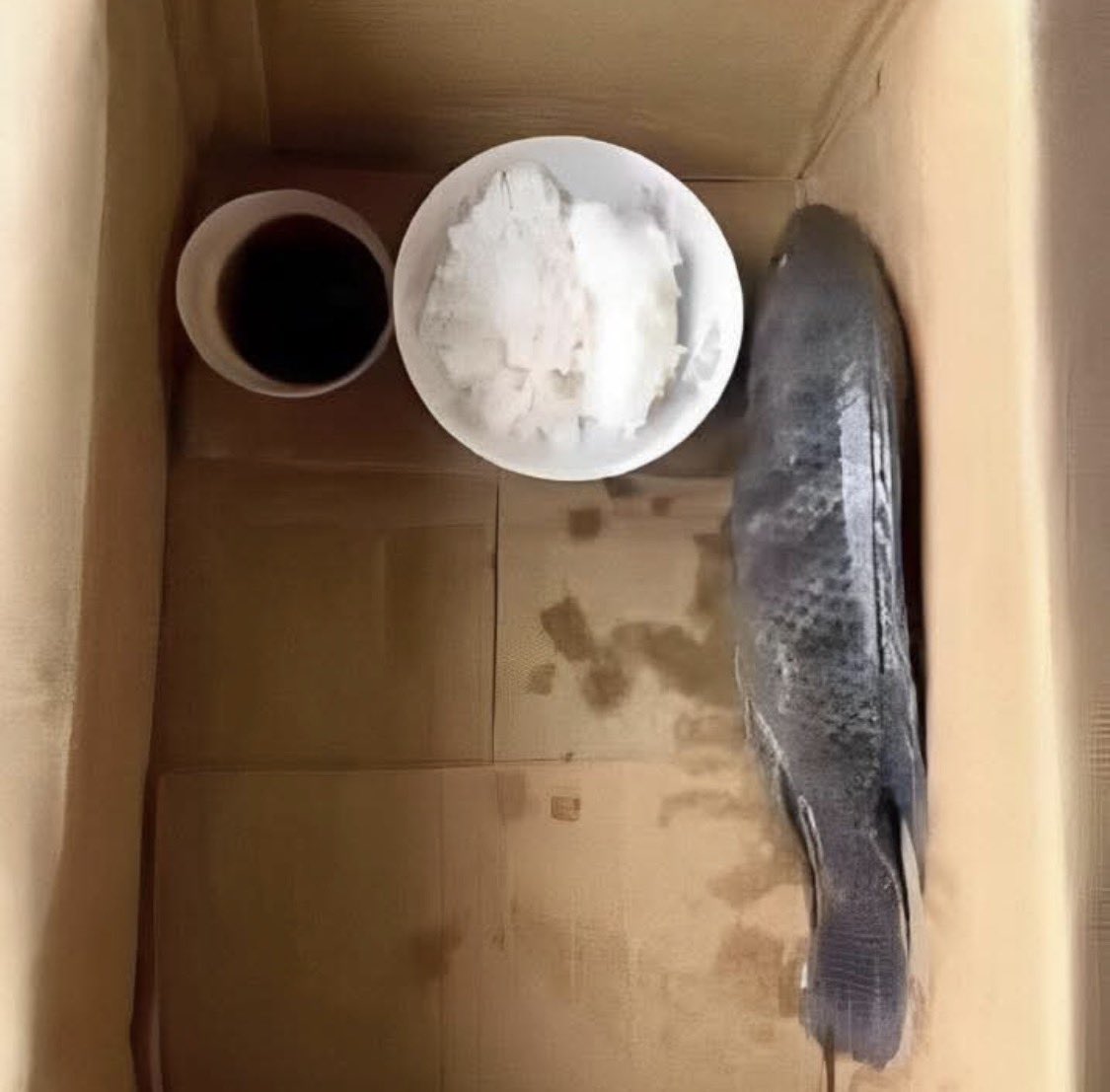 말랑떡 tweet media