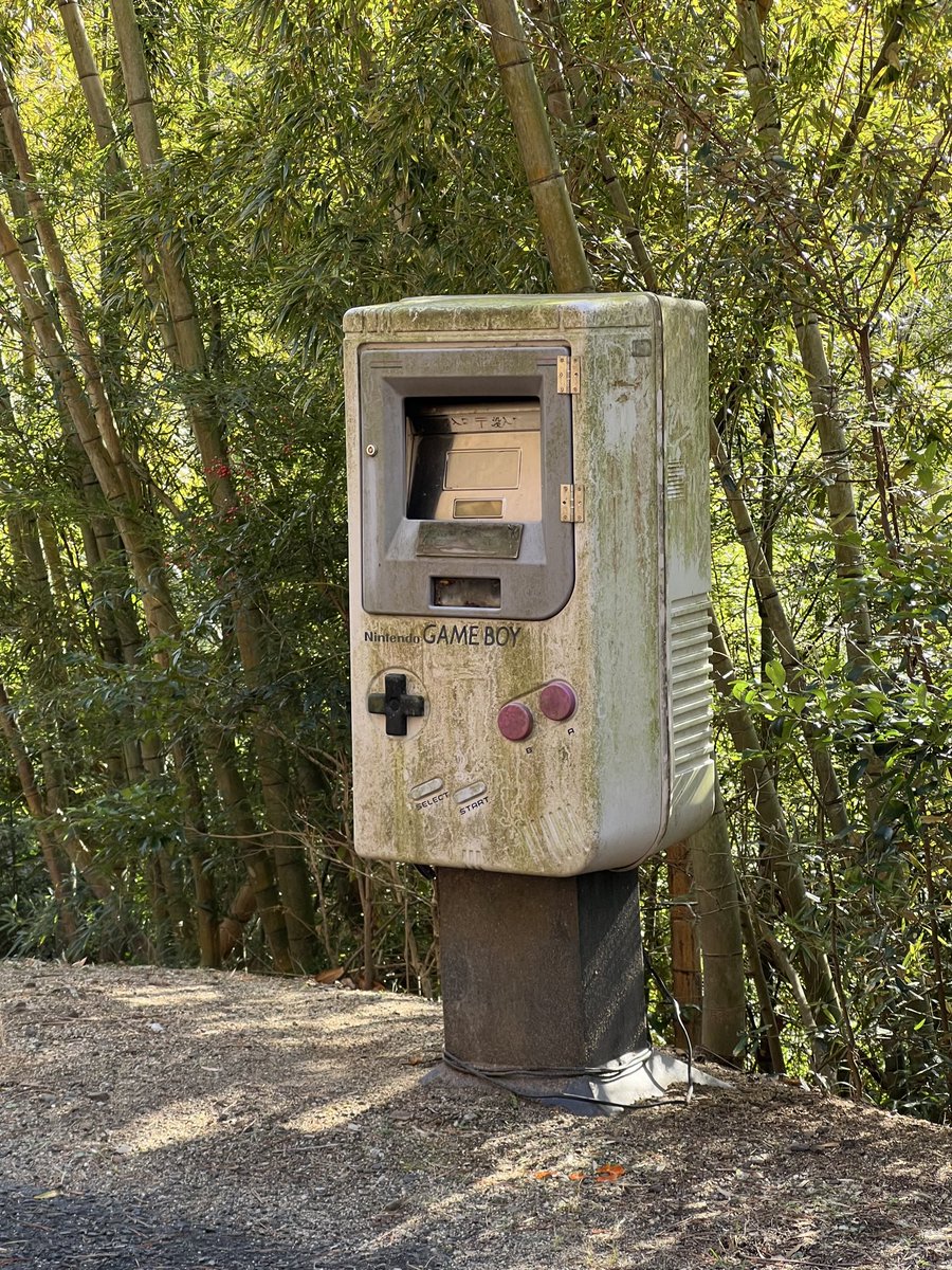 鞆(とも) tweet media