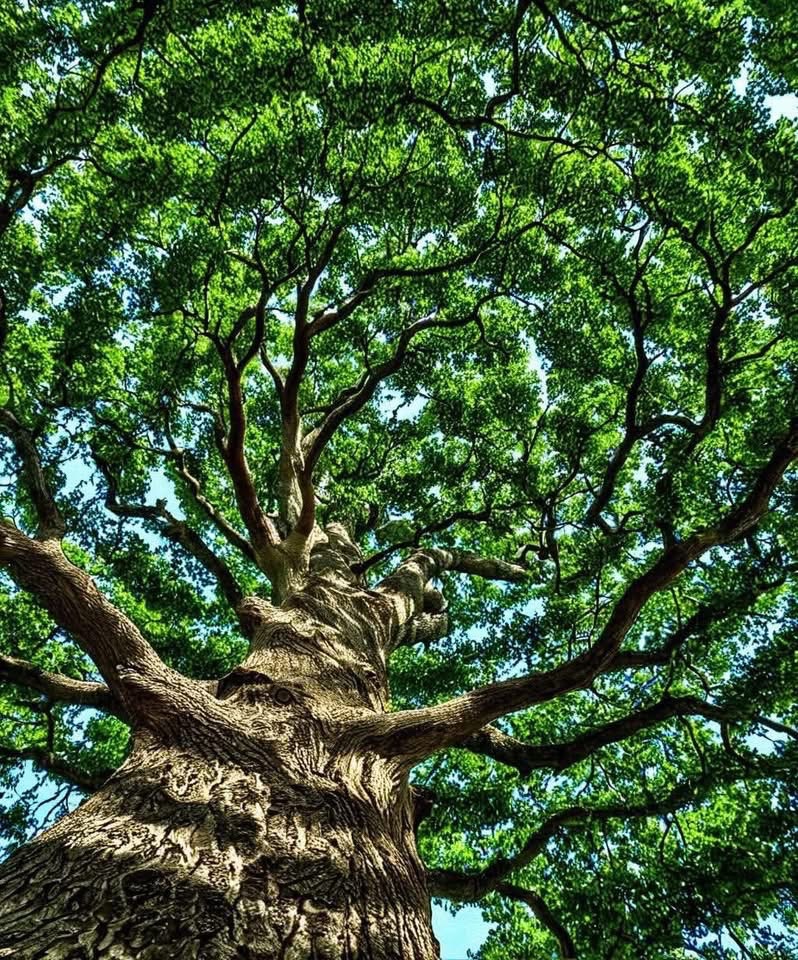 🧬Maxpein🧬 tweet media