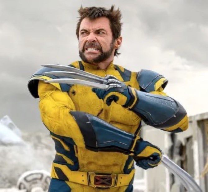 Sepzeno⚡️ tweet media