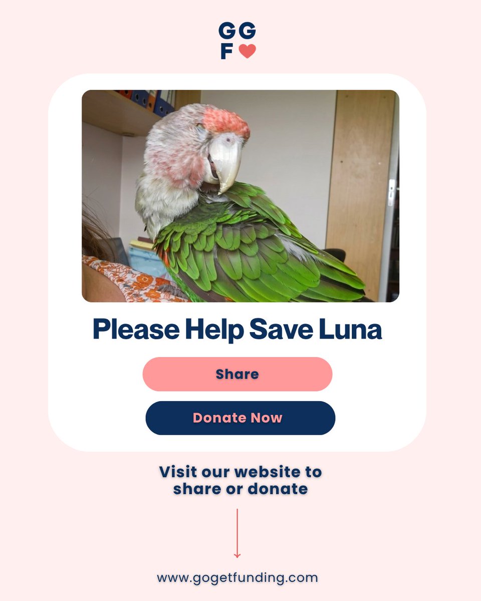 GoGetFunding tweet media