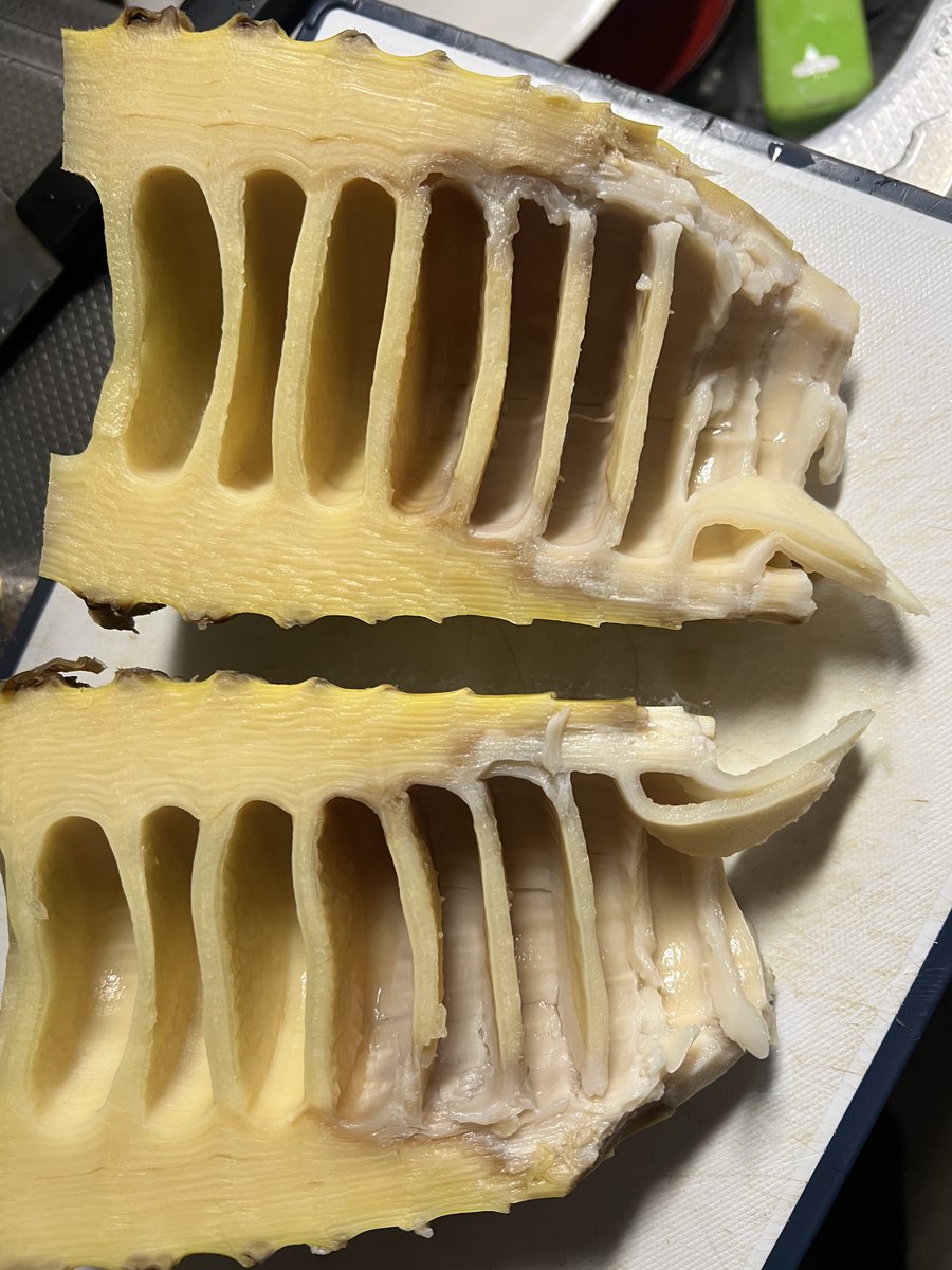 島田拓身 tweet media