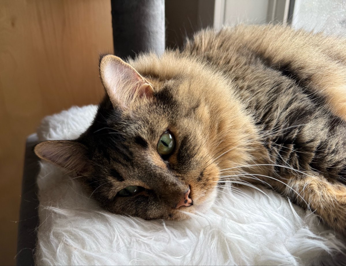 [lazy days]