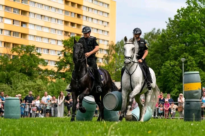 javorsky_radek's tweet photo. 🚨 Porubský den bezpečí  se blíží

Už v sobotu se louka u Francouzské ulice promění v místo plné akce a zajímavých ukázek. 💙

Těšit se můžete na:
👮‍♂️ policisty
🚒 hasiče
🚑 záchranáře
🪖 vojáky
👮‍♀️ strážníky
…a další bezpečnostní složky

#OstravaPoruba
#denbezpeci
#akce https://t.co/7Mkk73GkTZ