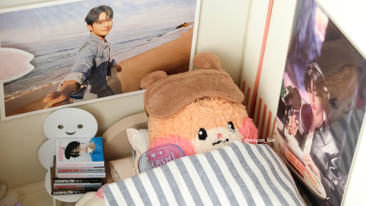 ミョン._.ビニニ🐹🐱 tweet media