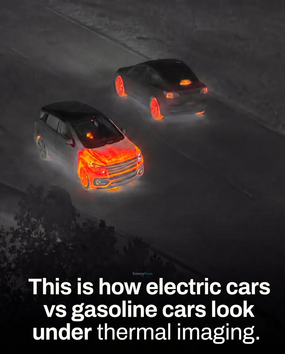 ScienceFocus tweet media