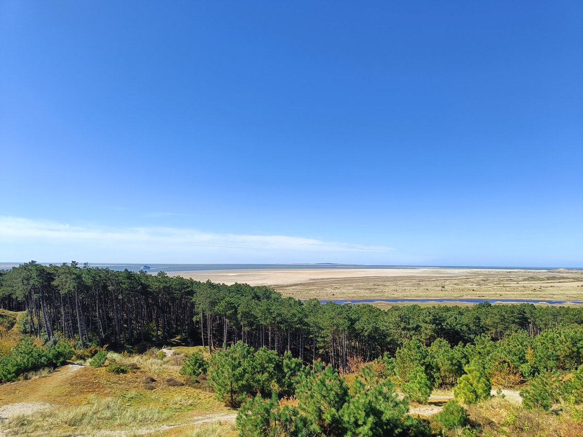 Stella_Koelman's tweet image. 🩵💚
#Terschelling