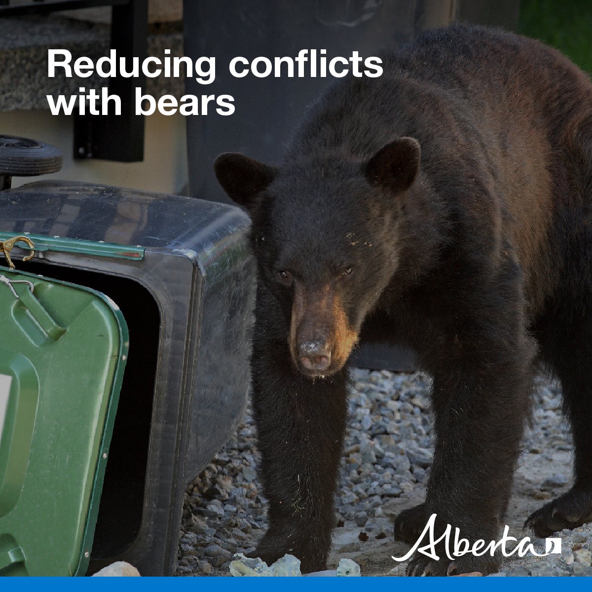 Alberta Fish and Wildlife Enforcement tweet media