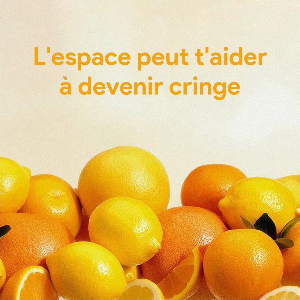 Proverbot 🌚 tweet media