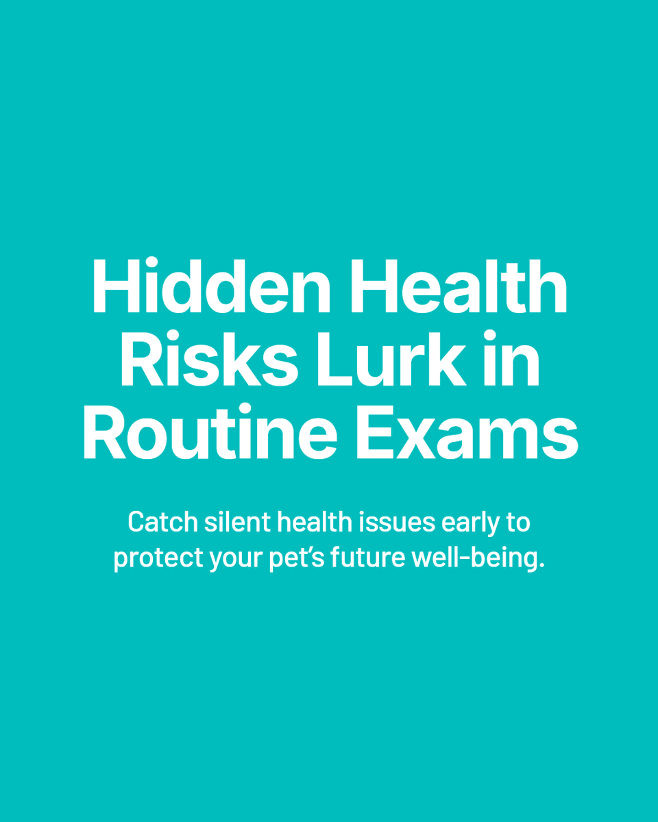 Routine wellness exams catch hidden health issues before they become emergencies. Early detection means less stress and better outcomes for your pet. Schedule a check-up today and keep your furry friend healthy—have questions? Ask us below!