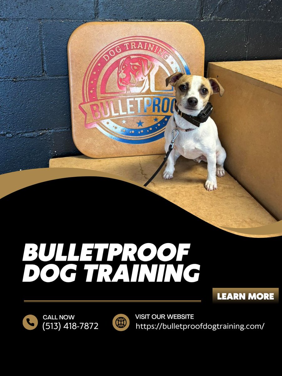 BulletproofDog_'s tweet photo. Every dog deserves clear communication and structure. Our dog training programs build trust, improve behavior, and strengthen your bond. Call us at (513) 418-7872 to get started. #DogTraining #SilverProgram #TrainBetter
https://t.co/QNSZUJM6lj https://t.co/v3yvQTtsel