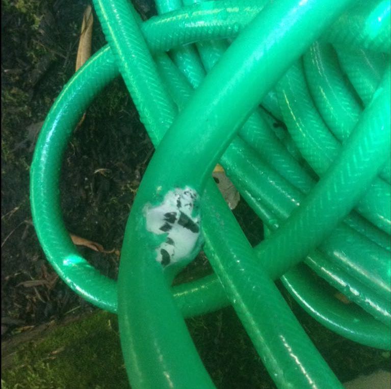 SMWesterly's tweet image. Before reattaching your outdoor water hoses, check your outdoor spigots for signs of winter/freeze damage, to avoid costly water damage to your home.  #homemaintenance #outdoors  #waterdamage #TuesdayTip