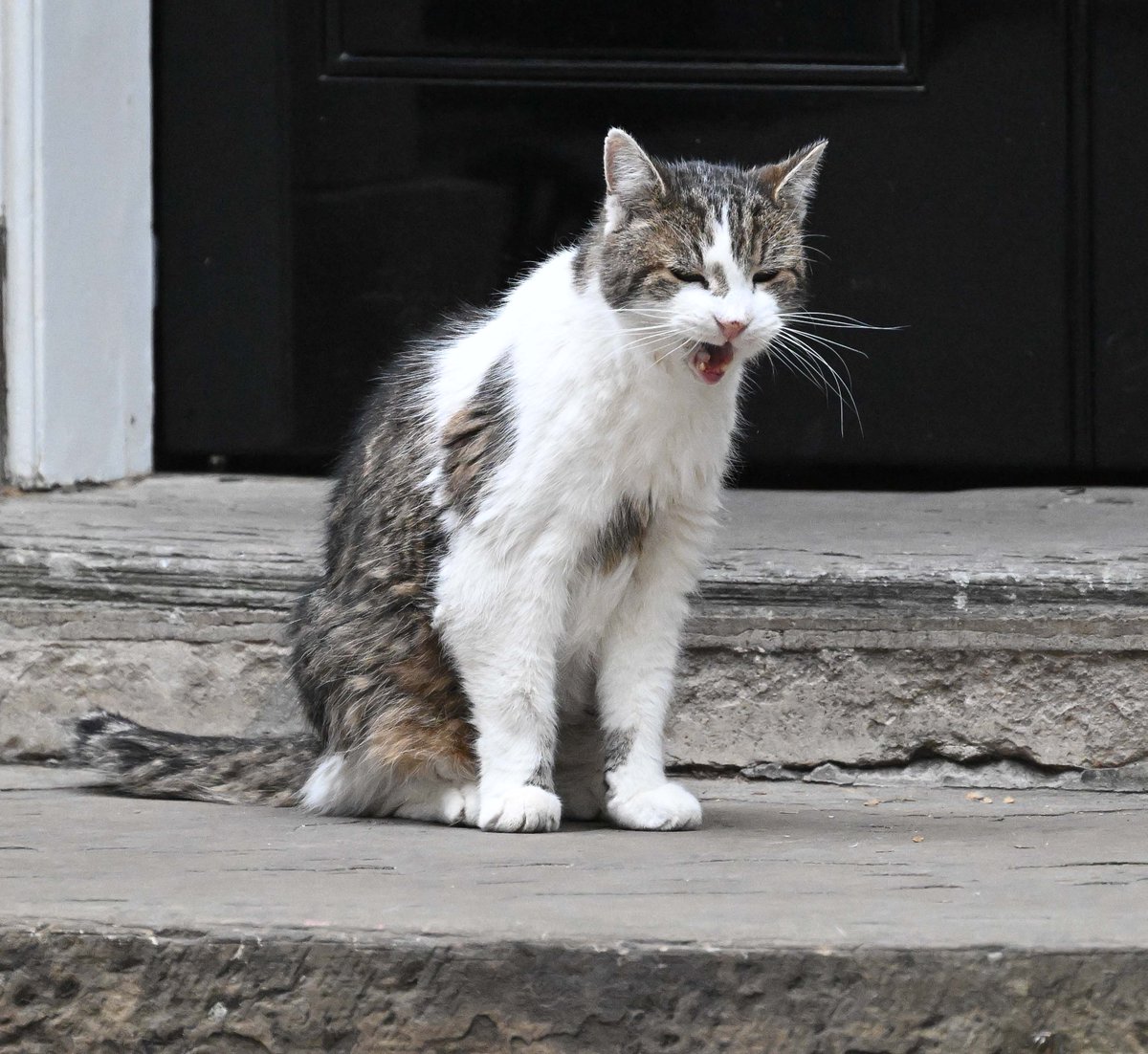PoliticalPics tweet media