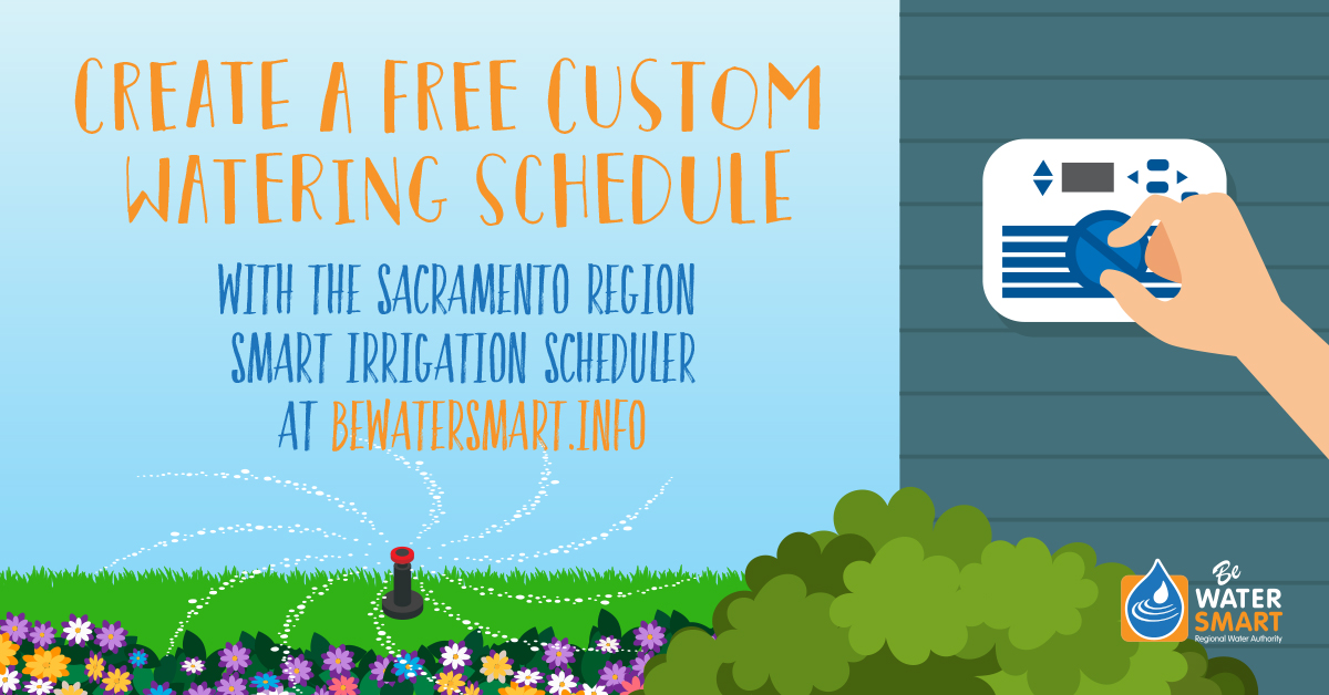 Be_Water_Smart's tweet photo. Take the guesswork out of watering 💧🌱 

Create a free, customized watering schedule with the Sacramento Region Smart Irrigation Scheduler—built to match your landscape, soil, and local weather conditions at https://t.co/puVdU42mwp and water more efficiently all season long. https://t.co/wqFLyFVCJt