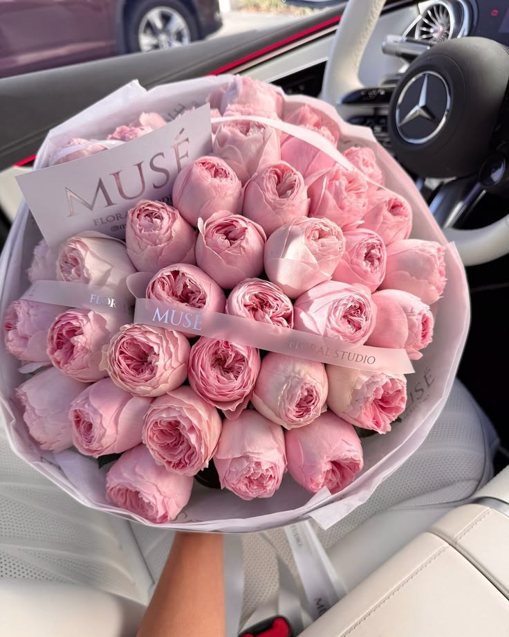 flower 🌺🌹 (@greenery897) on Twitter photo 