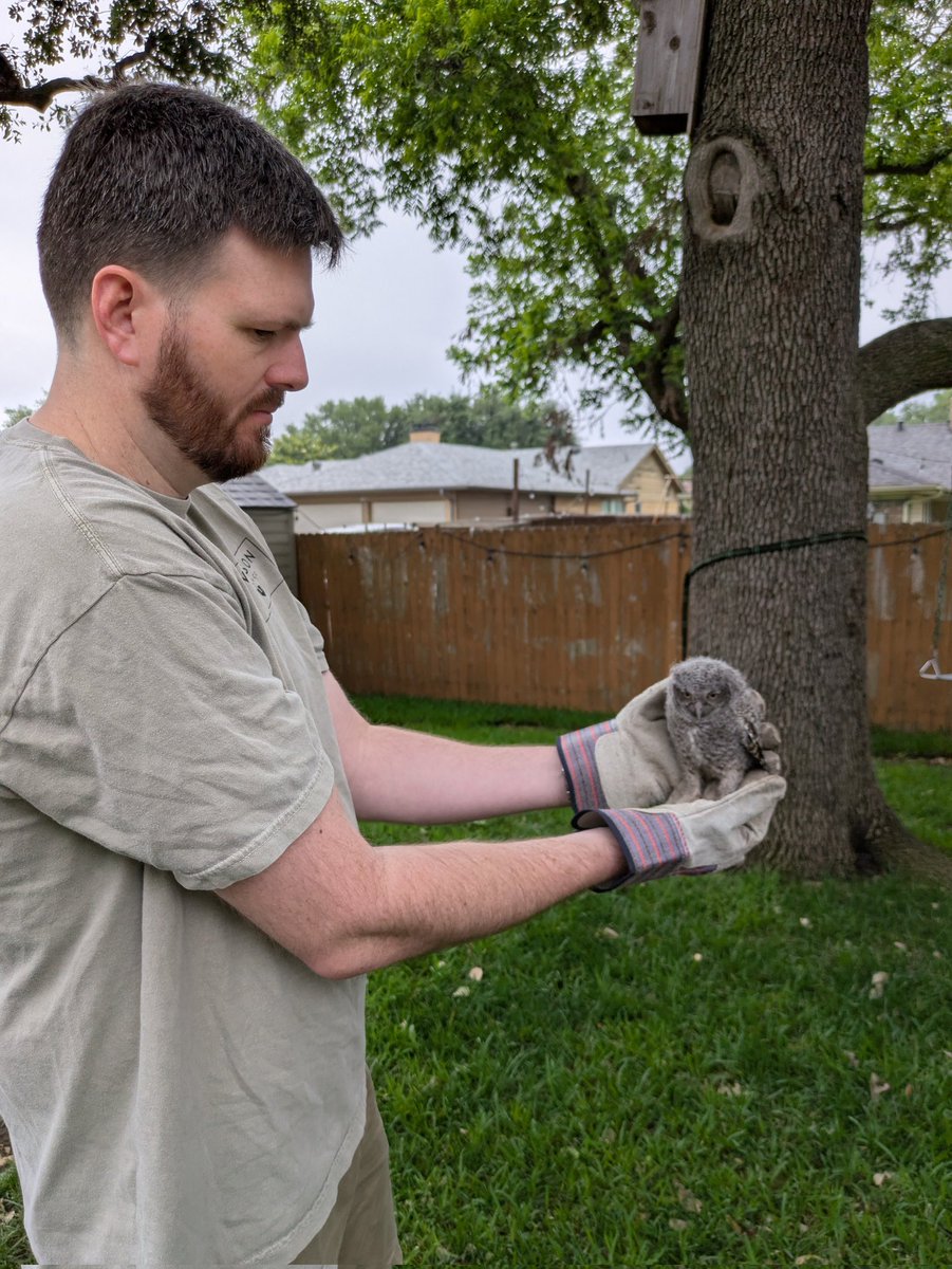 Wasson Watch Co. tweet media