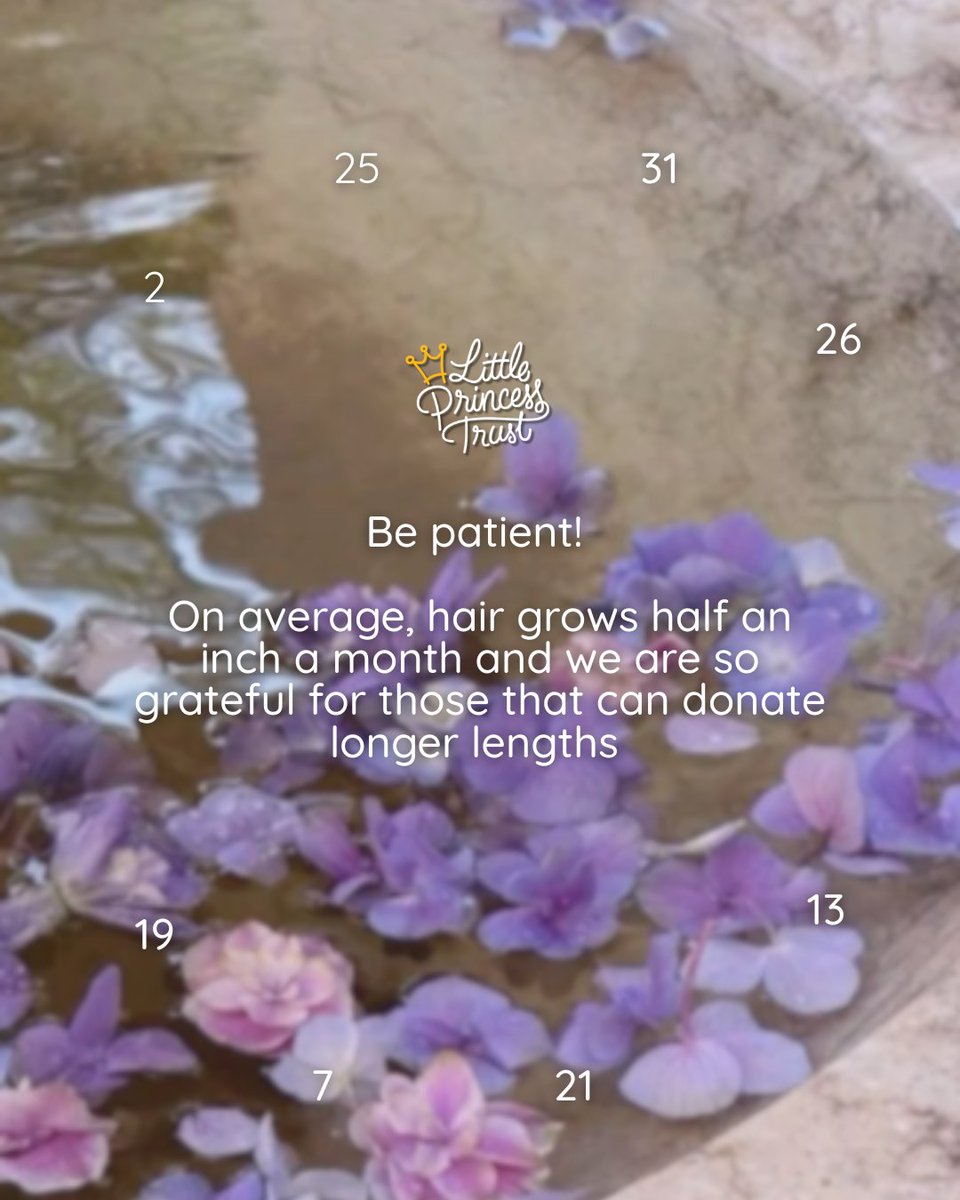 Little Princess Trust tweet media