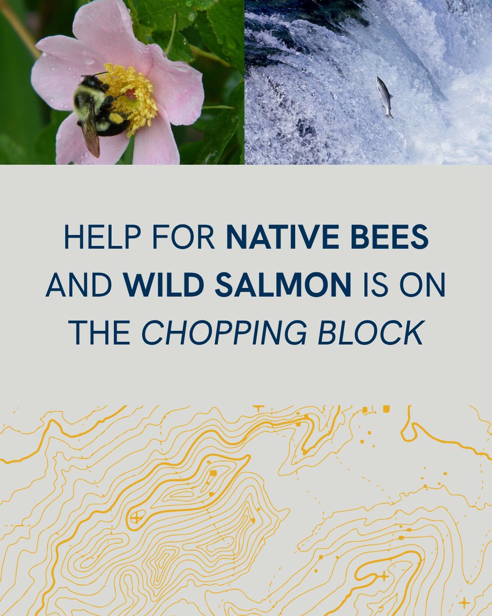 National Wildlife Federation Action Fund tweet media