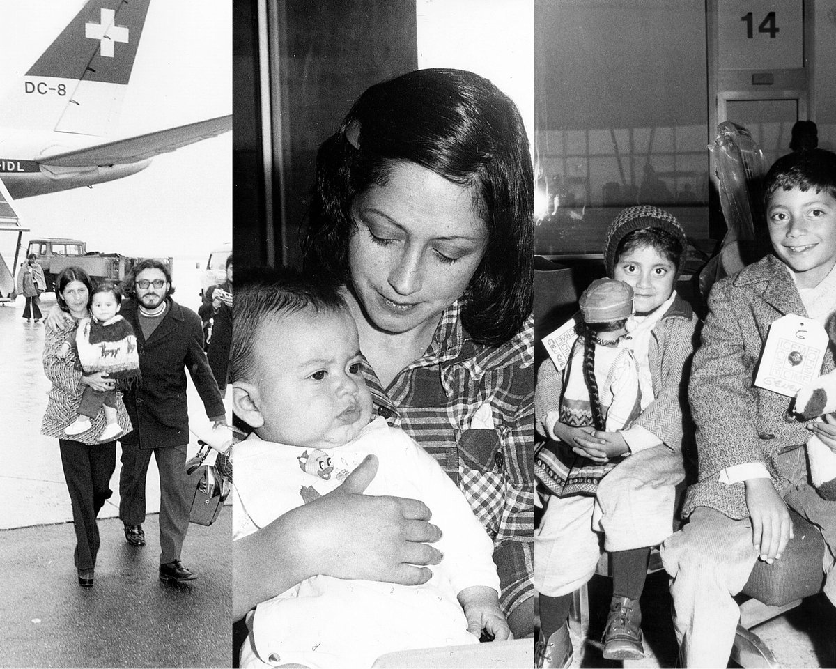 IOM - UN Migration 🇺🇳 tweet media