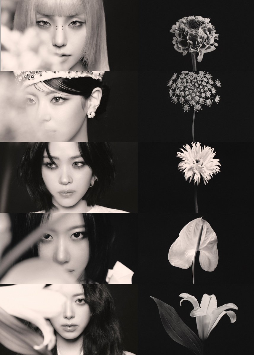 itzy’s motto tweet media