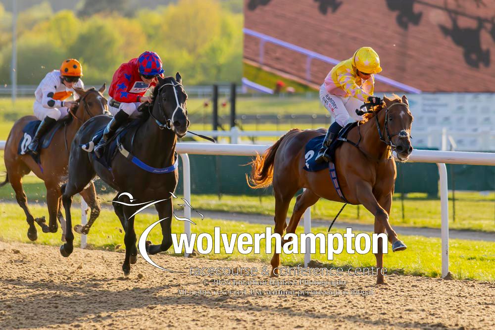 Wolverhampton Races tweet media