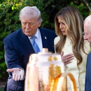 Whale Psychiatrist ™️ tweet media