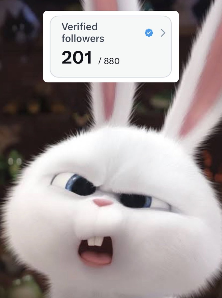 typicalwin tweet media