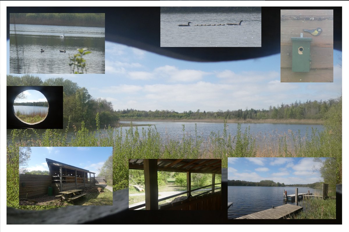 dvanduuren1's tweet image. camer_A_pril Photo Chall.

from: @jolandabrwr

Today's Choice:
- Moment of Silence -
Images #Symbolic for #freedom 
🚶📸🦆🦋🌳

Exploring Nature Area(s)

Walk - Discover - Enjoy

#camer_A_pril #stiltemoment #symboliek #vrijheid #PhotoChallenge #dag28 #hikingadventures #nature