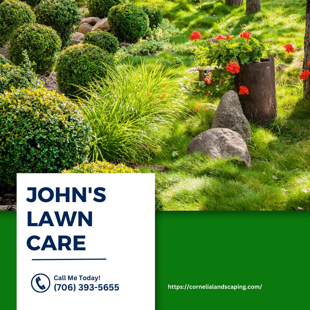 LandJohns's tweet photo. Your outdoor space should feel vibrant and well-maintained, and as a landscaper, I focus on creating clean, inviting areas you can enjoy every day. Let me help refresh your yard with care and attention. Contact me today!
#Landscaper
https://t.co/c9iXEIaey1 https://t.co/lCb5bgfA9J