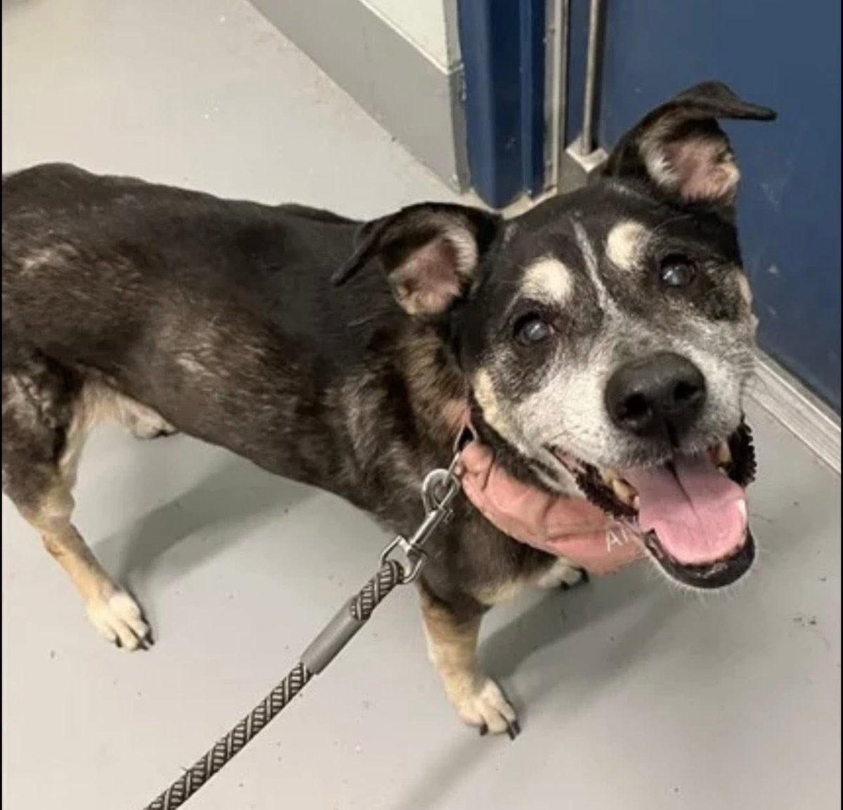 Lisa Brabson. tweet media