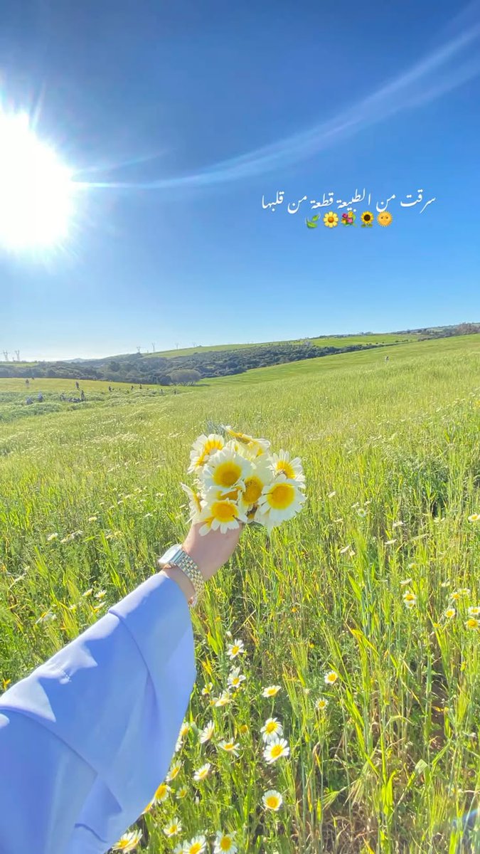 فاطمة الشرقي tweet media
