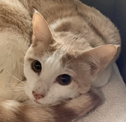 Jack5928 tweet media