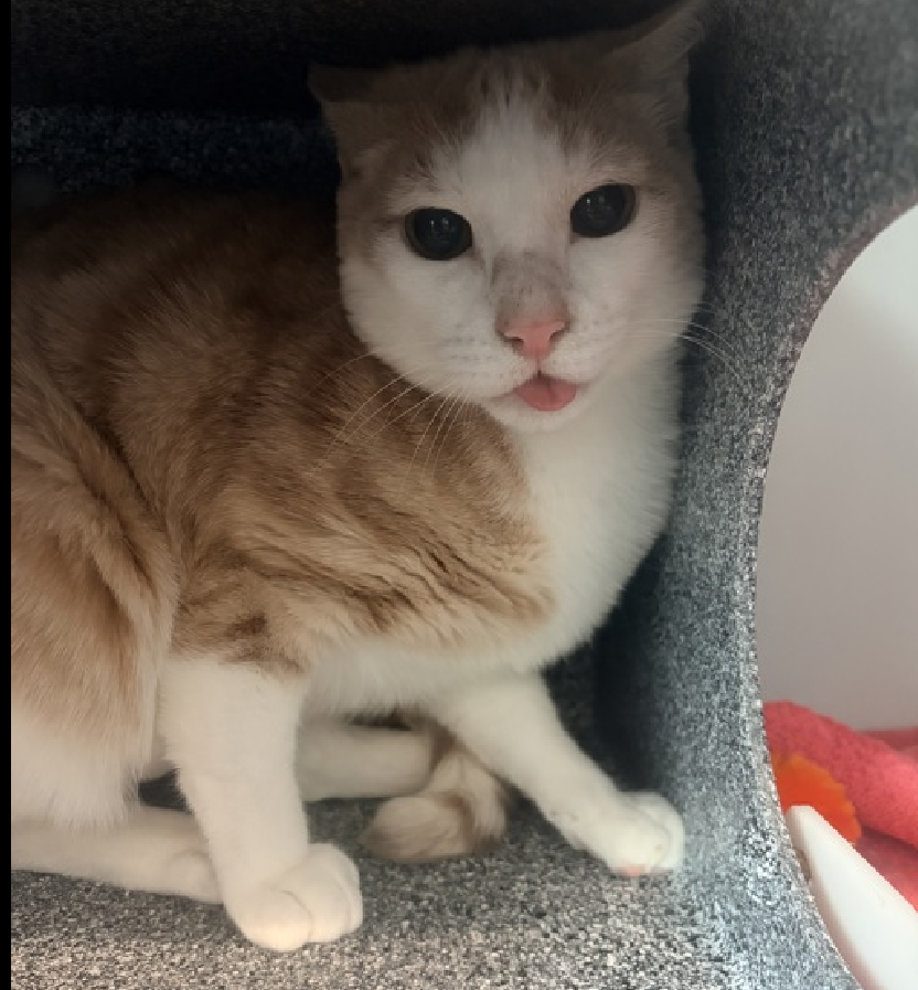 Jack5928 tweet media