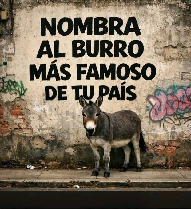 Marcos Palazzolo tweet media