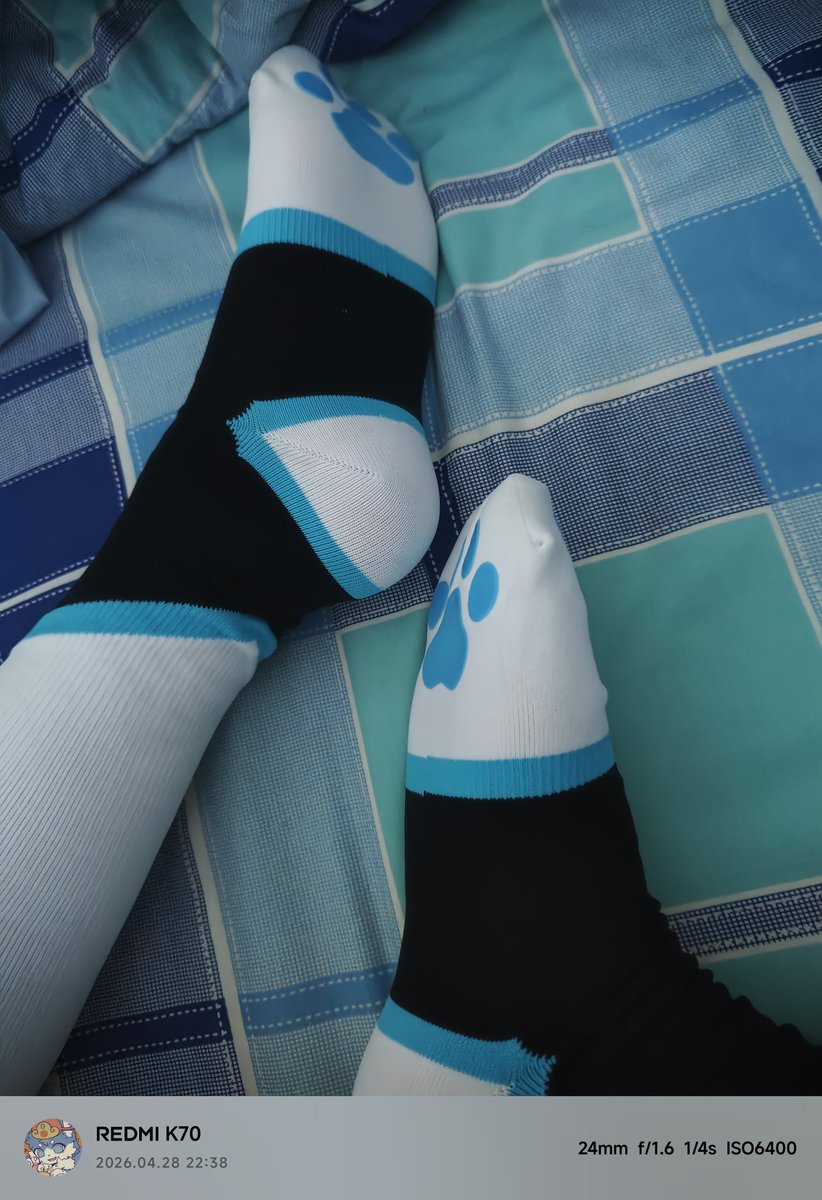 YeBai_Furry's tweet photo. 没什么好发的，发两张🧦 https://t.co/MxcDg5QPvG