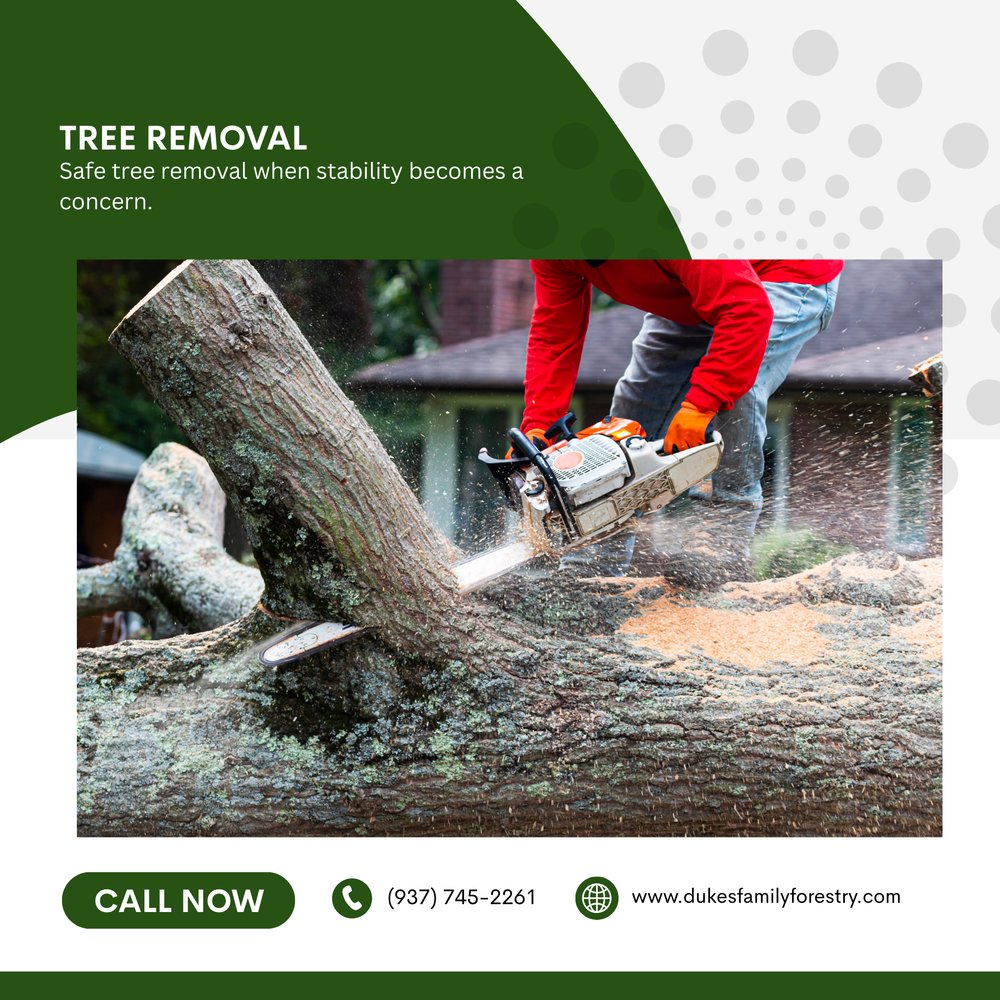 dukesforestry's tweet image. When a tree becomes unstable or damaged, action becomes necessary. Our tree removal helps eliminate trees that pose risks to homes, vehicles, and surrounding areas. Send us a message today.
#TreeRemoval
dukesfamilyforestry.com/tree-removal