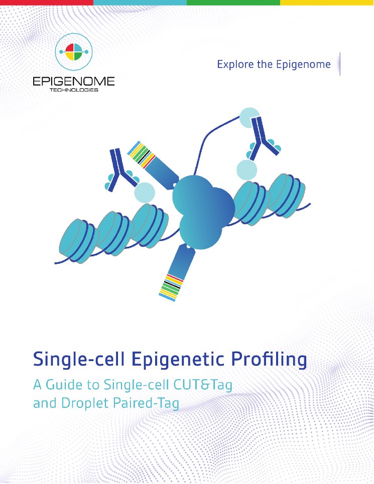 EpigenomeTech's tweet image. Learn more about single-cell epigenetic profiling by downloading our guide to single-cell CUT&amp;amp;Tag and single-cell Paired-Tag

Learn more here: bit.ly/4r7CGRD

#Epigenetics #Multiomics #CUTandTag #10XGgenomics #ChIPSeq #SingleCell #PairedTag