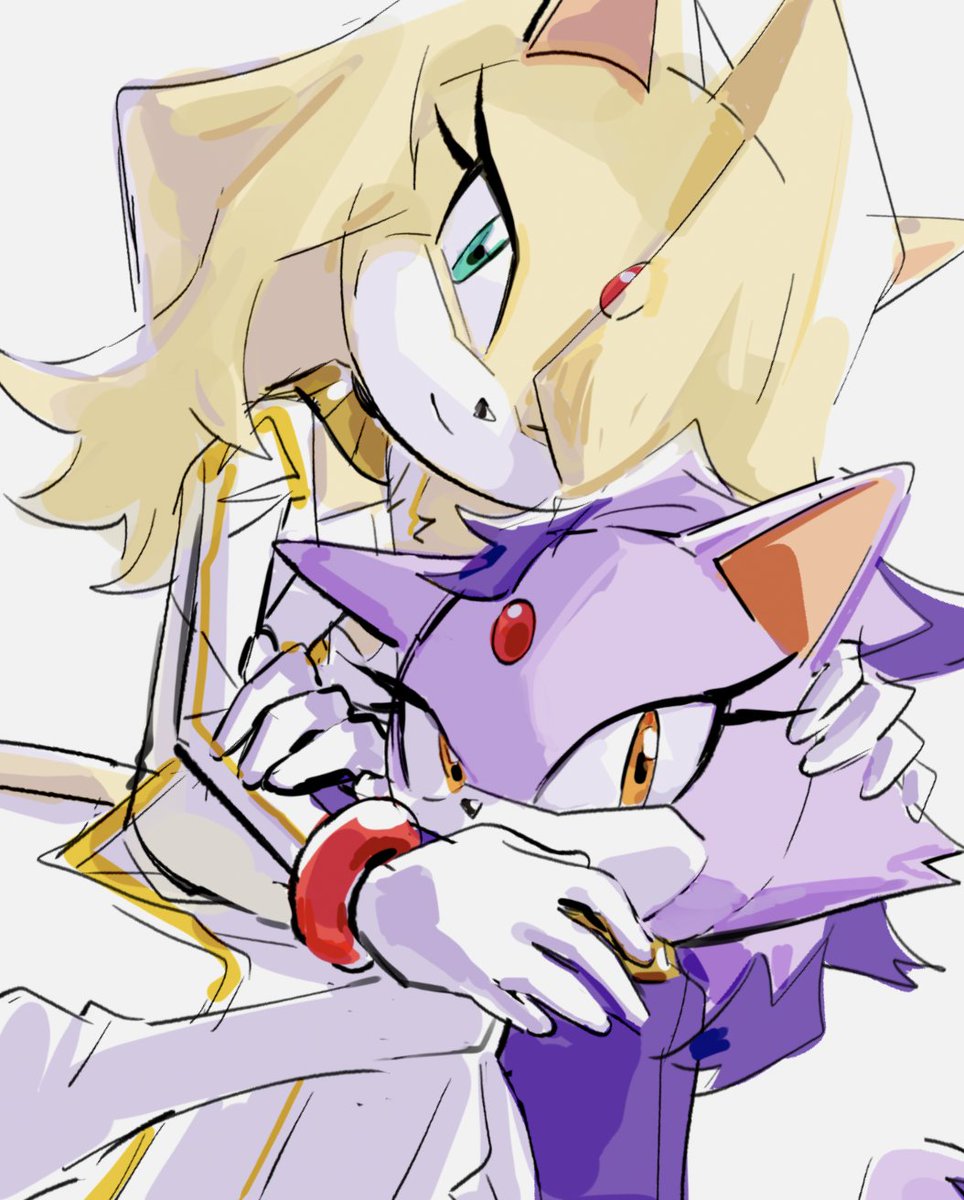 米酒🍶 tweet media