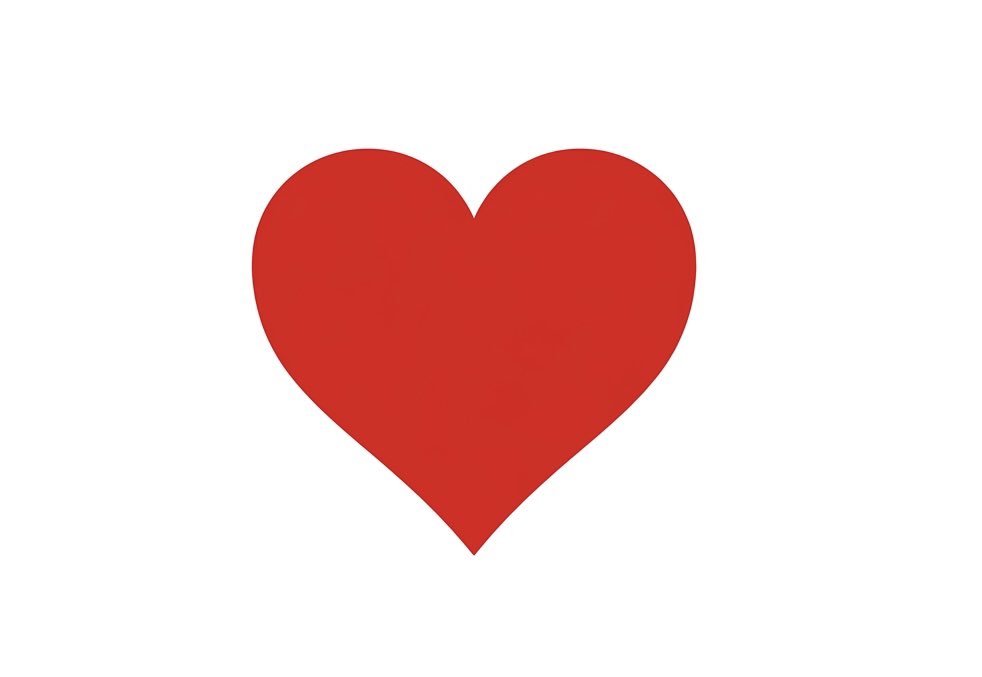 Yohei from Japan🇯🇵 tweet media