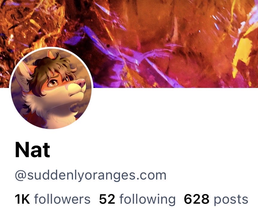 Nat (@suddenlyoranges.com on bsky) tweet media